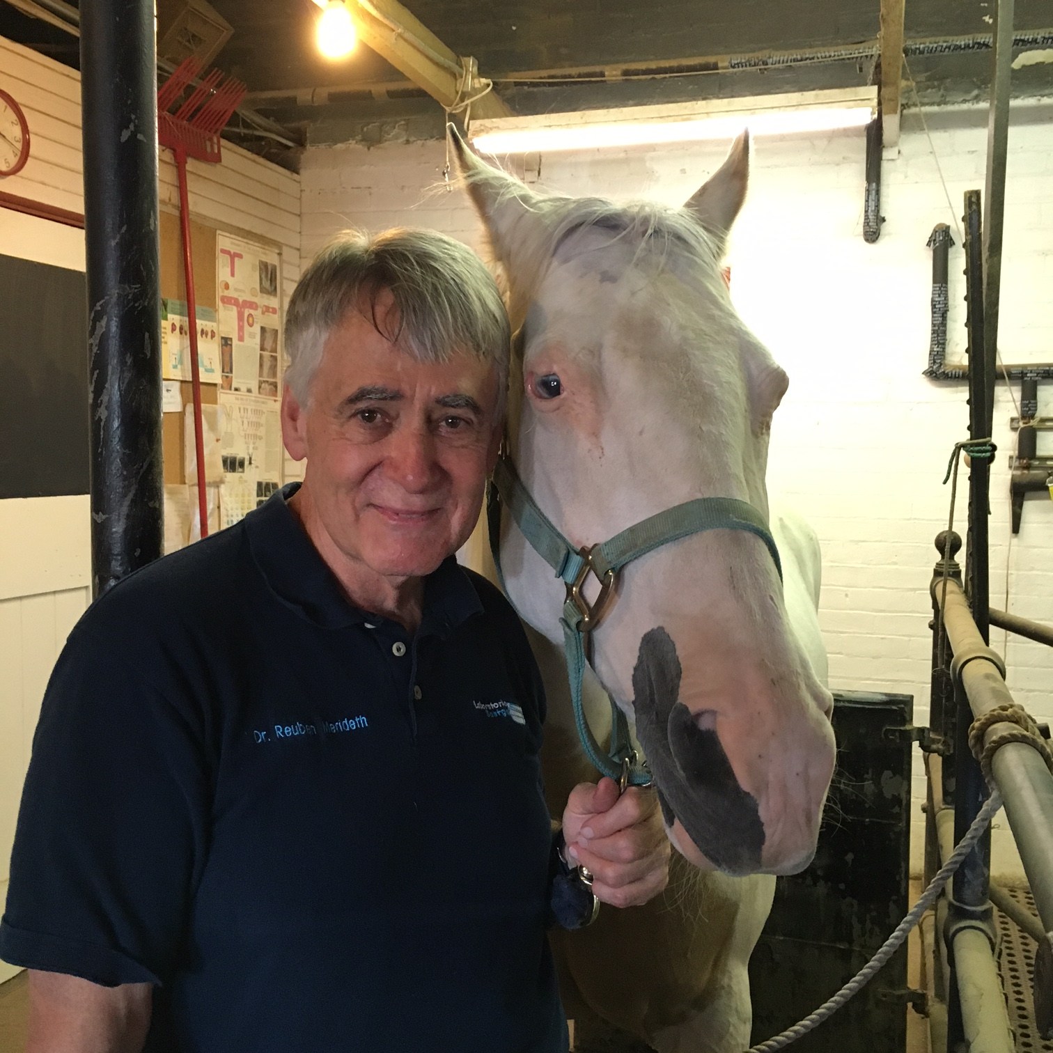 Happy Annifursary Eye Care for Animals, largest veterinary